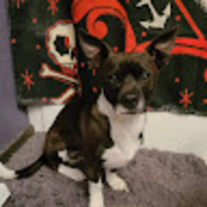 Meet your Posher, Christopher